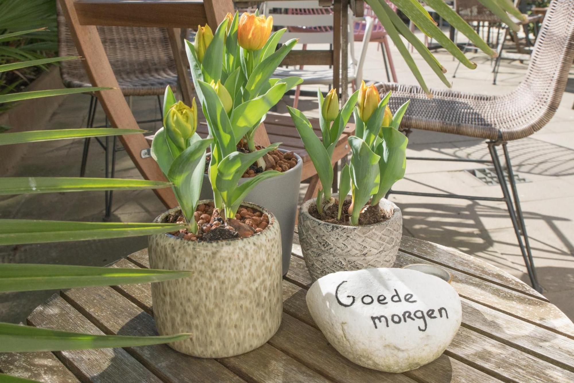 Hotel The Bloom Noordwijk Zewnętrze zdjęcie
